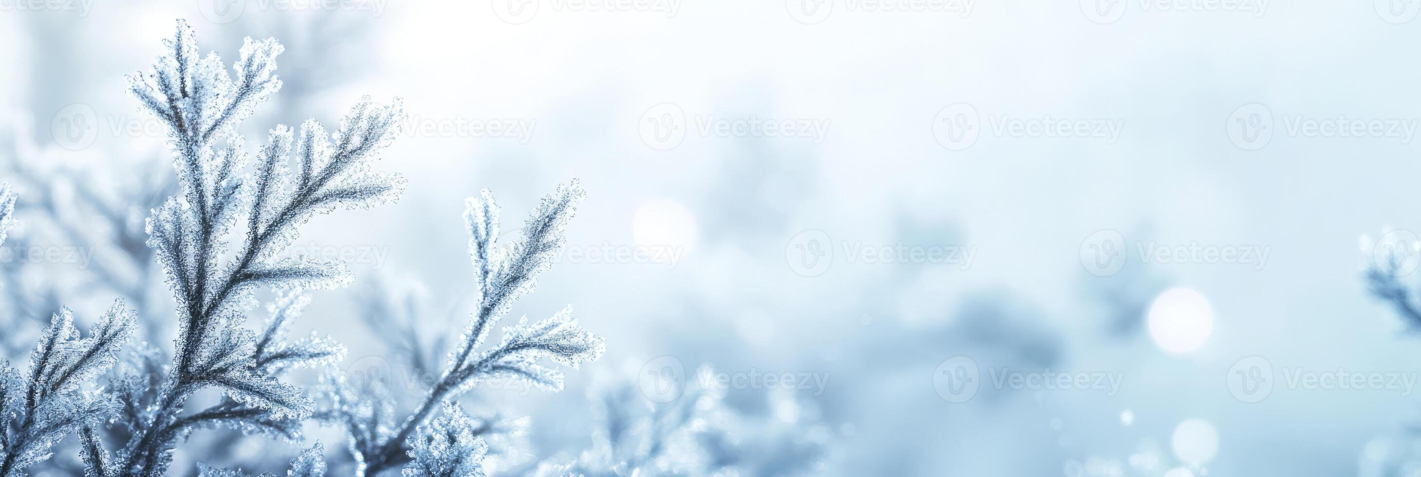 Immerse in a winter scene where snowflakes and frost create an enchanting atmosphere, ideal for joyful holiday themes and for nature lovers who cherish the beauty of this serene season photo