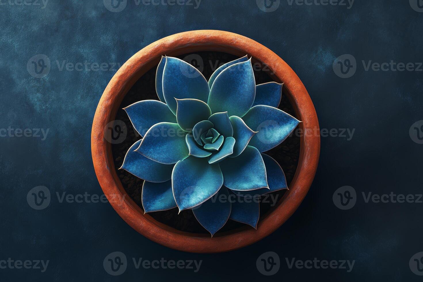 This beautiful blue succulent in a terracotta pot enhances any rooms aesthetics, perfect for modern decor and indoor gardening, adding a vibrant touch of nature and creating a serene ambiance photo