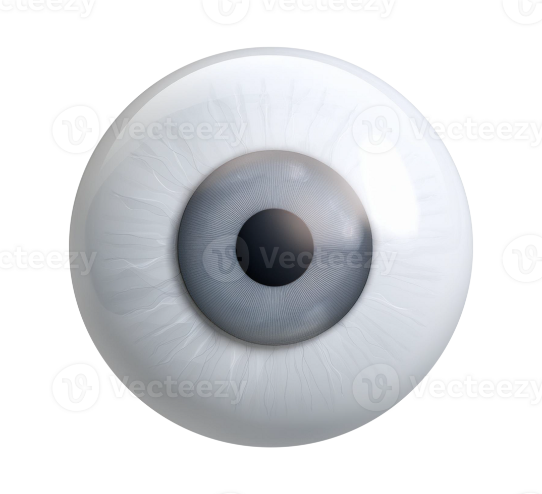 An eye with a transparent background and white eye png