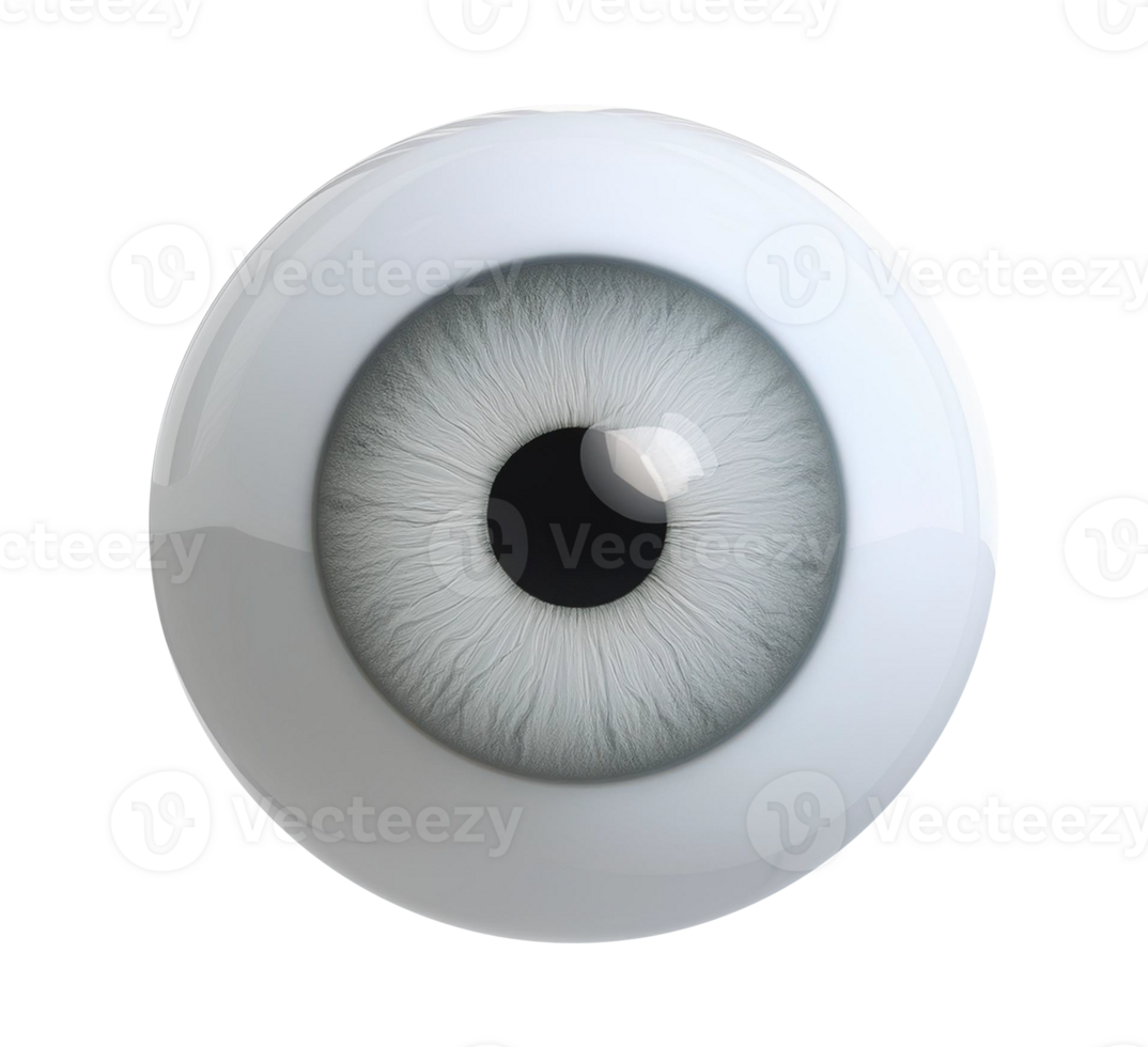 An eye is shown in a white sphere on transparent background png