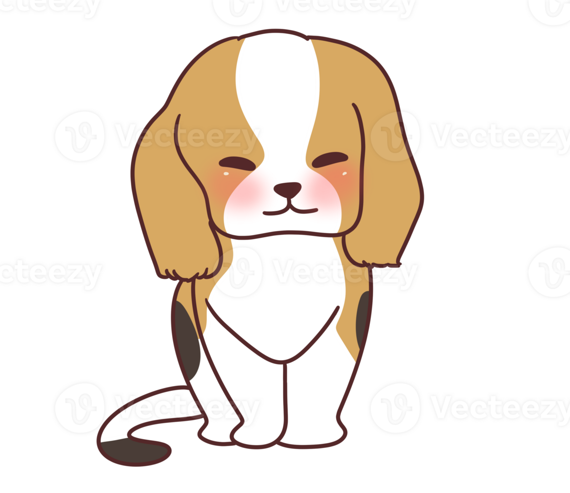 Cute Beagle dog puppy pet png