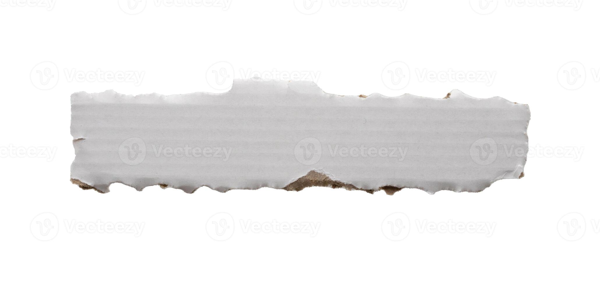 piece of white paper tear isolated on white background photo
