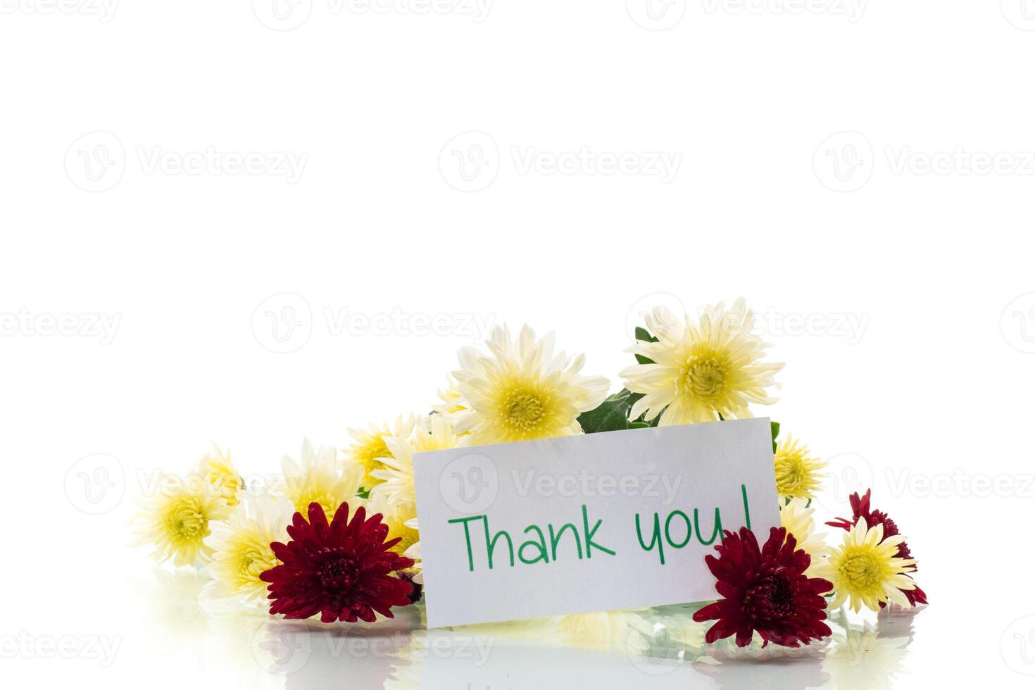 bouquet of yellow and burgundy chrysanthemums isolated on white background photo