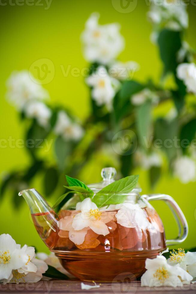 jasmine flower tea in a glass teapot .Isolated on green background photo