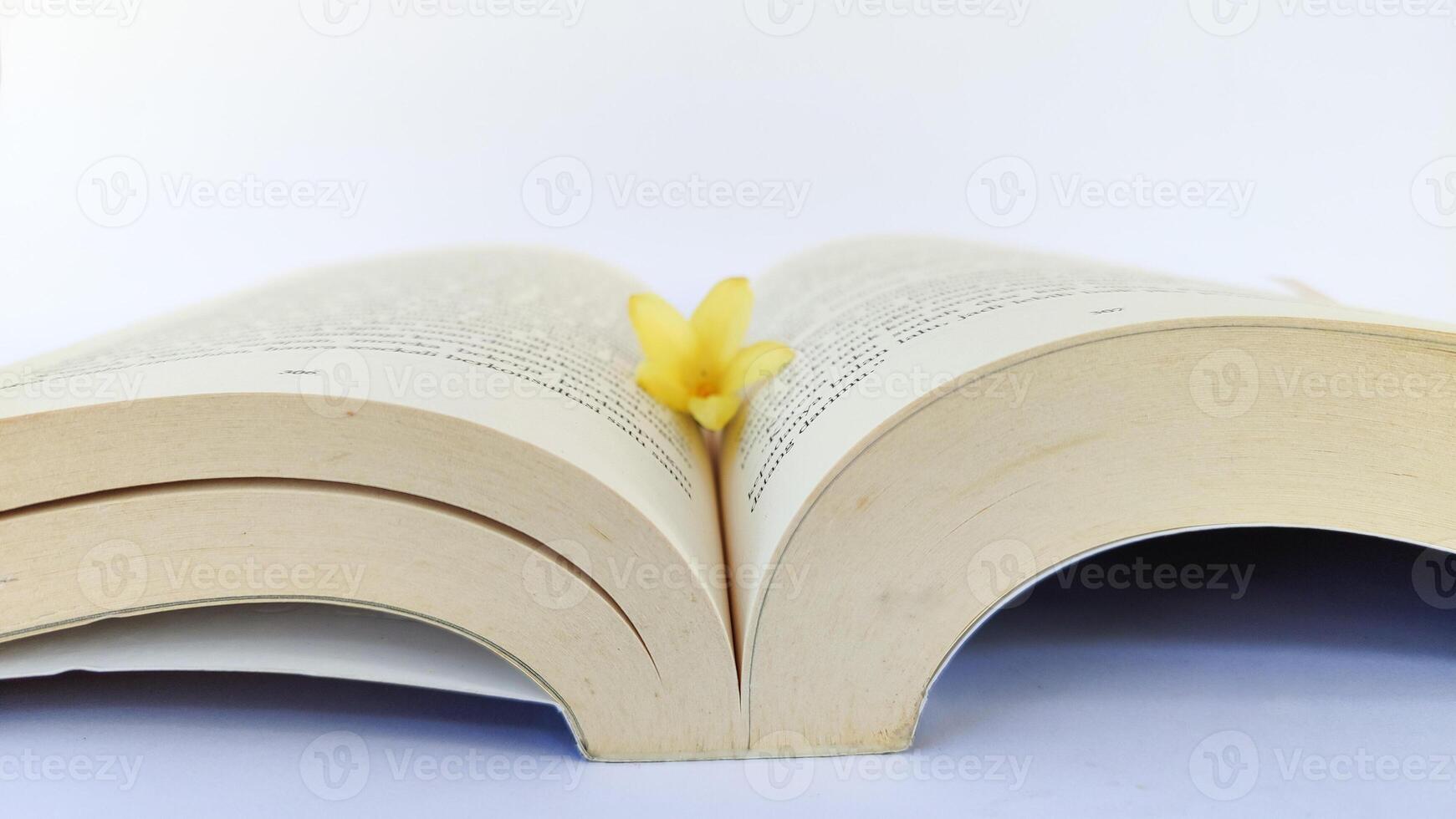 stack of colorful books on white background, open book, stack of books isolated on background, education, read, study, school, library, dictionary. photo
