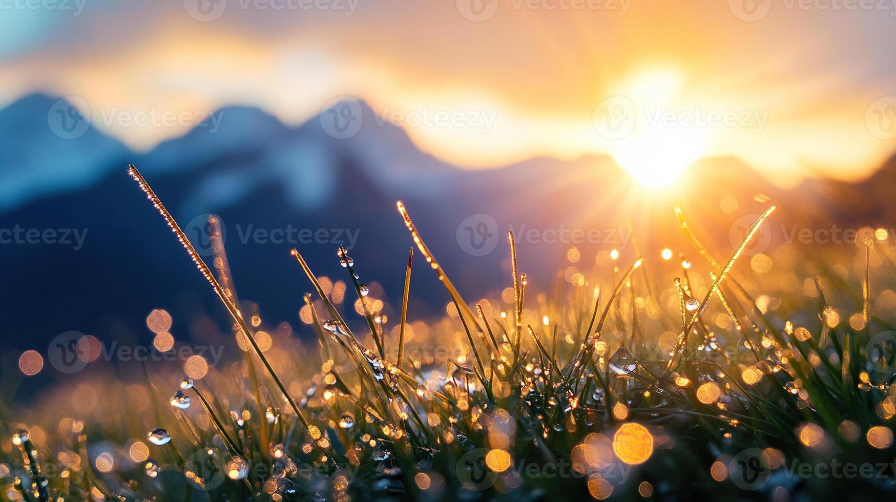 Dew drops on grass with sunrise and mountains in the background, nature photography photo