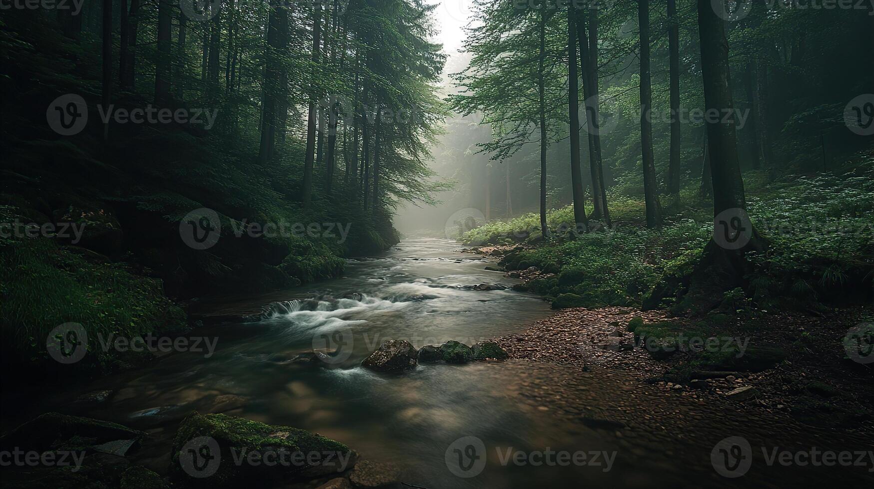 Mystical Forest Stream with Sunlight Filtering Through the Trees photo