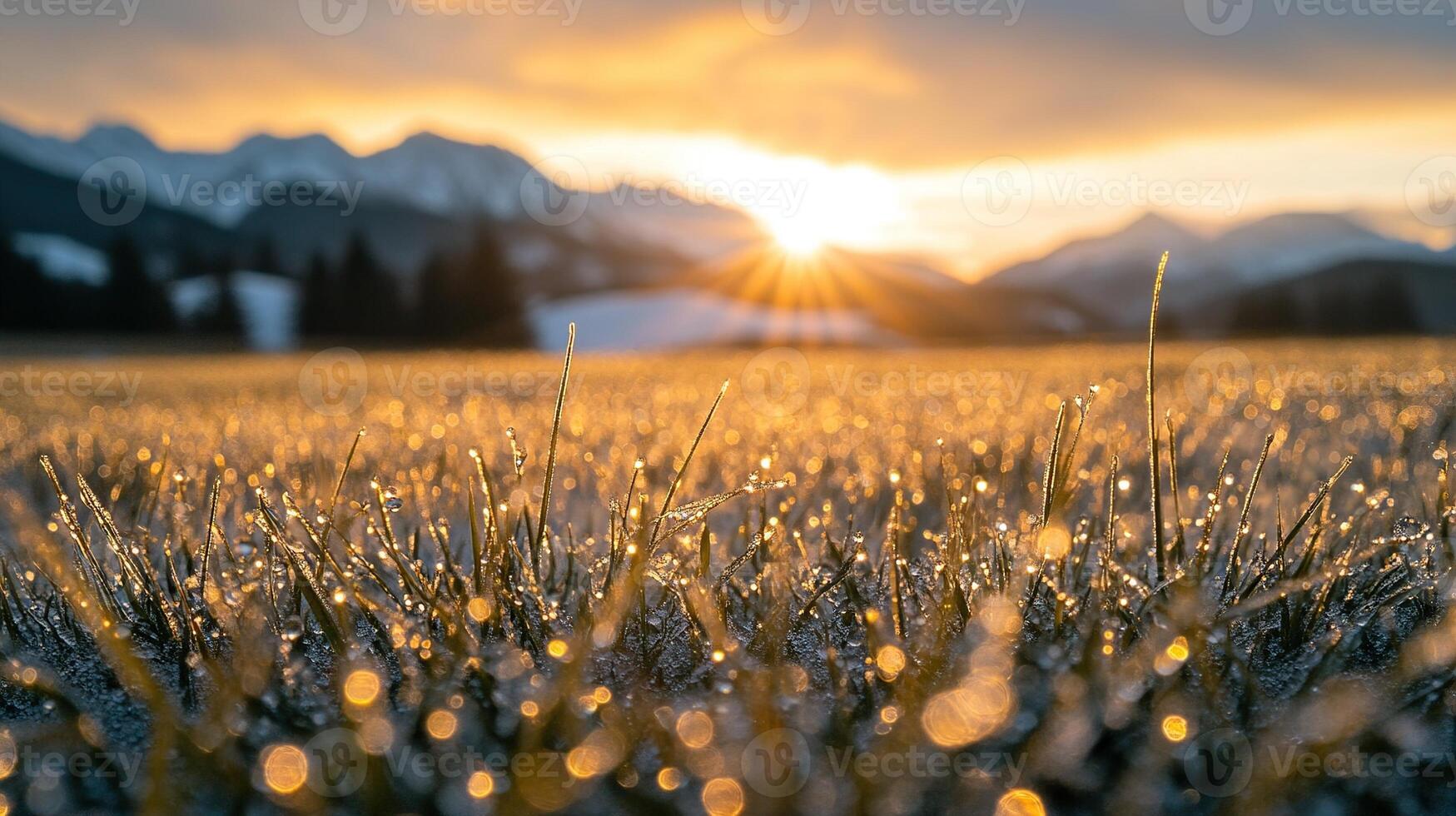 Close up of dew drops on grass at sunrise with mountains and sky in the background photo