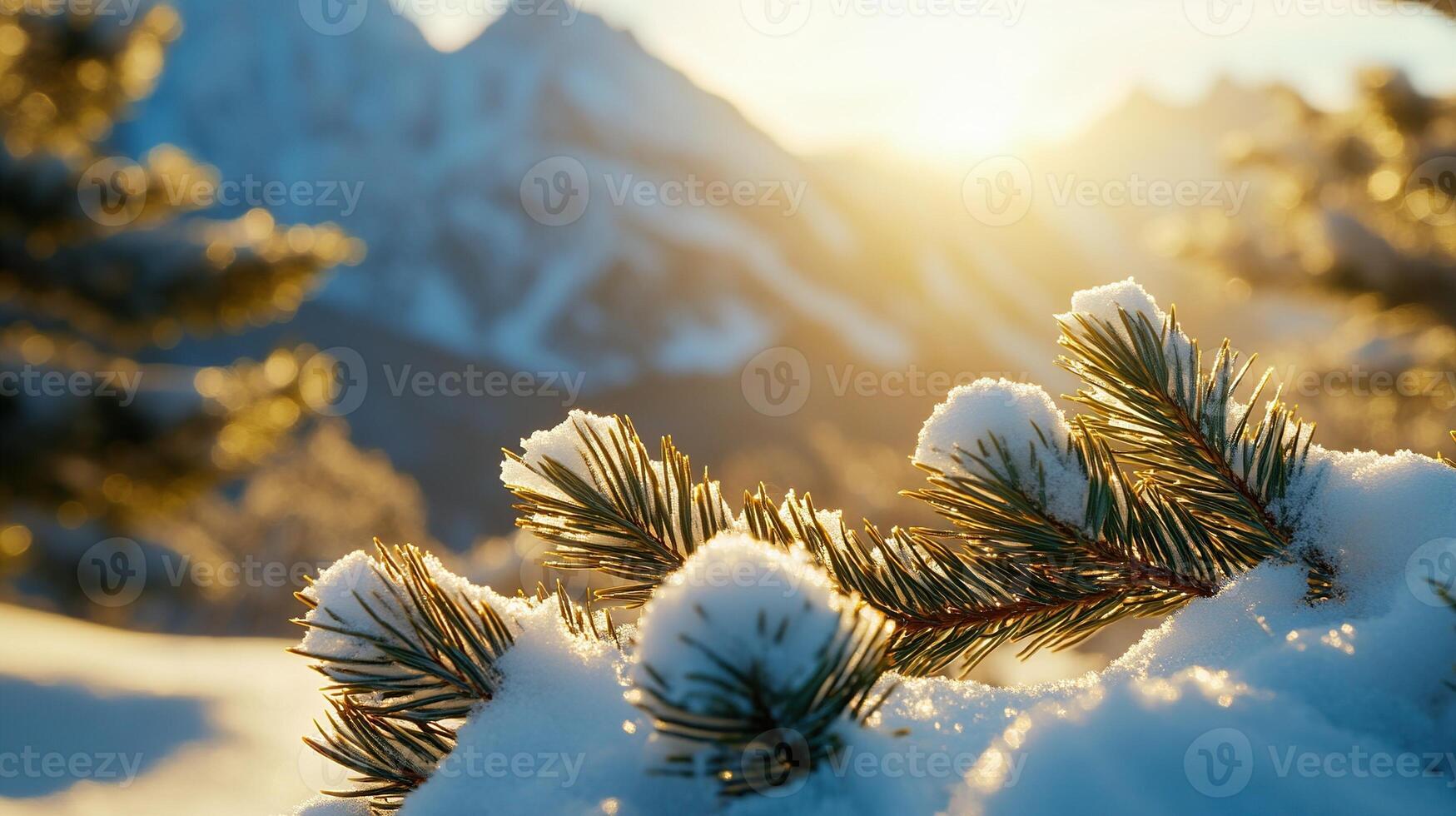 Close up of snow covered pine branch with mountains in the background, sun rays breaking through clouds photo