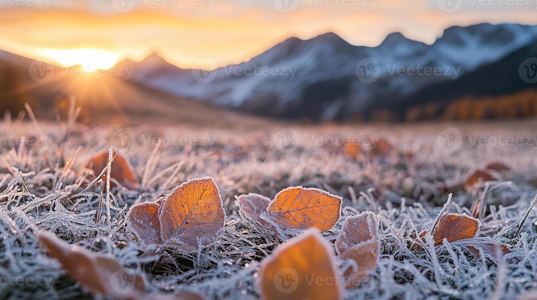 Close up of frost covering the ground with mountains and sunrise in the background photo