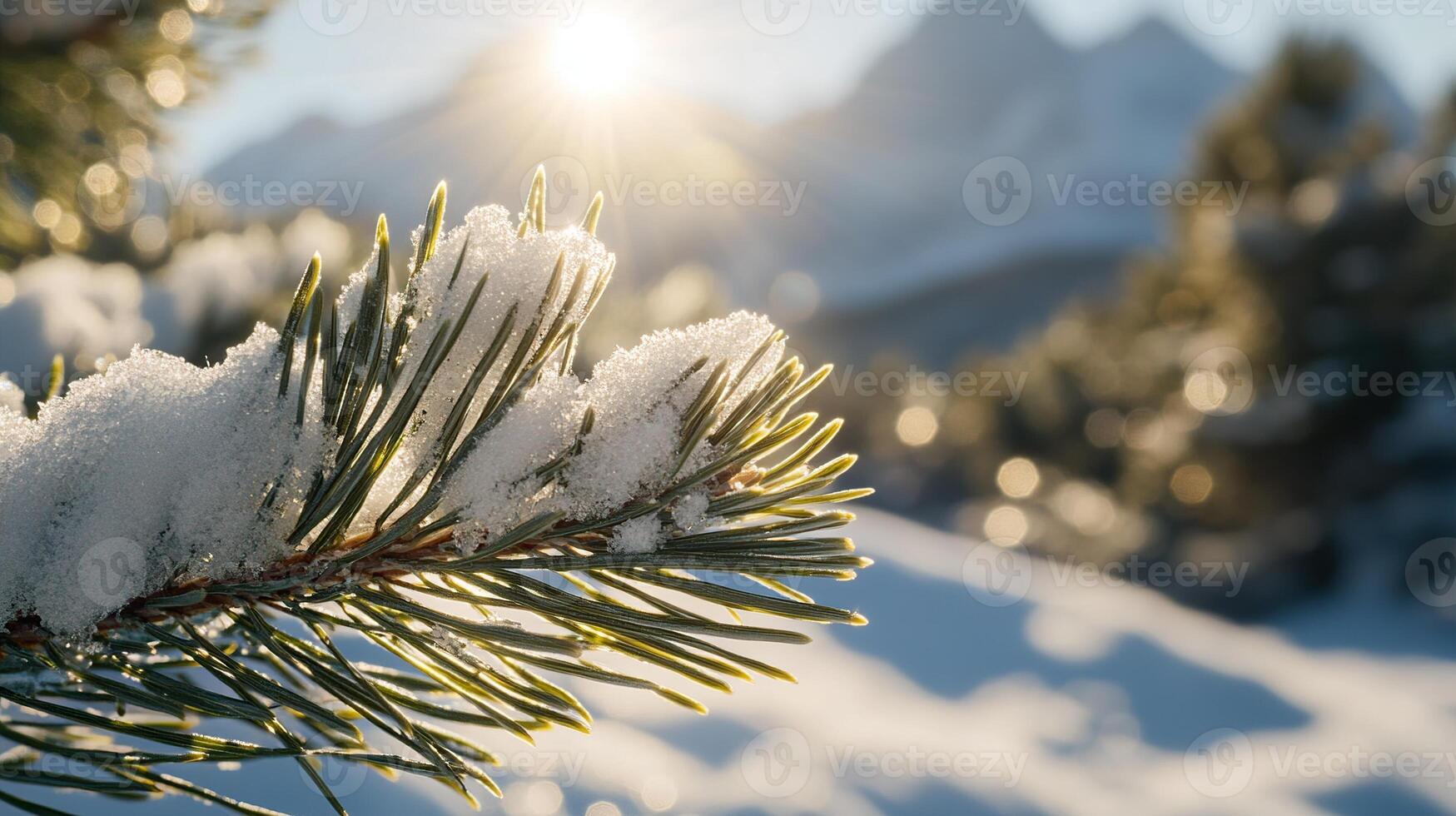 Closeup of pine tree branch with fresh snow and sunshine in winter, with mountain peak background photo