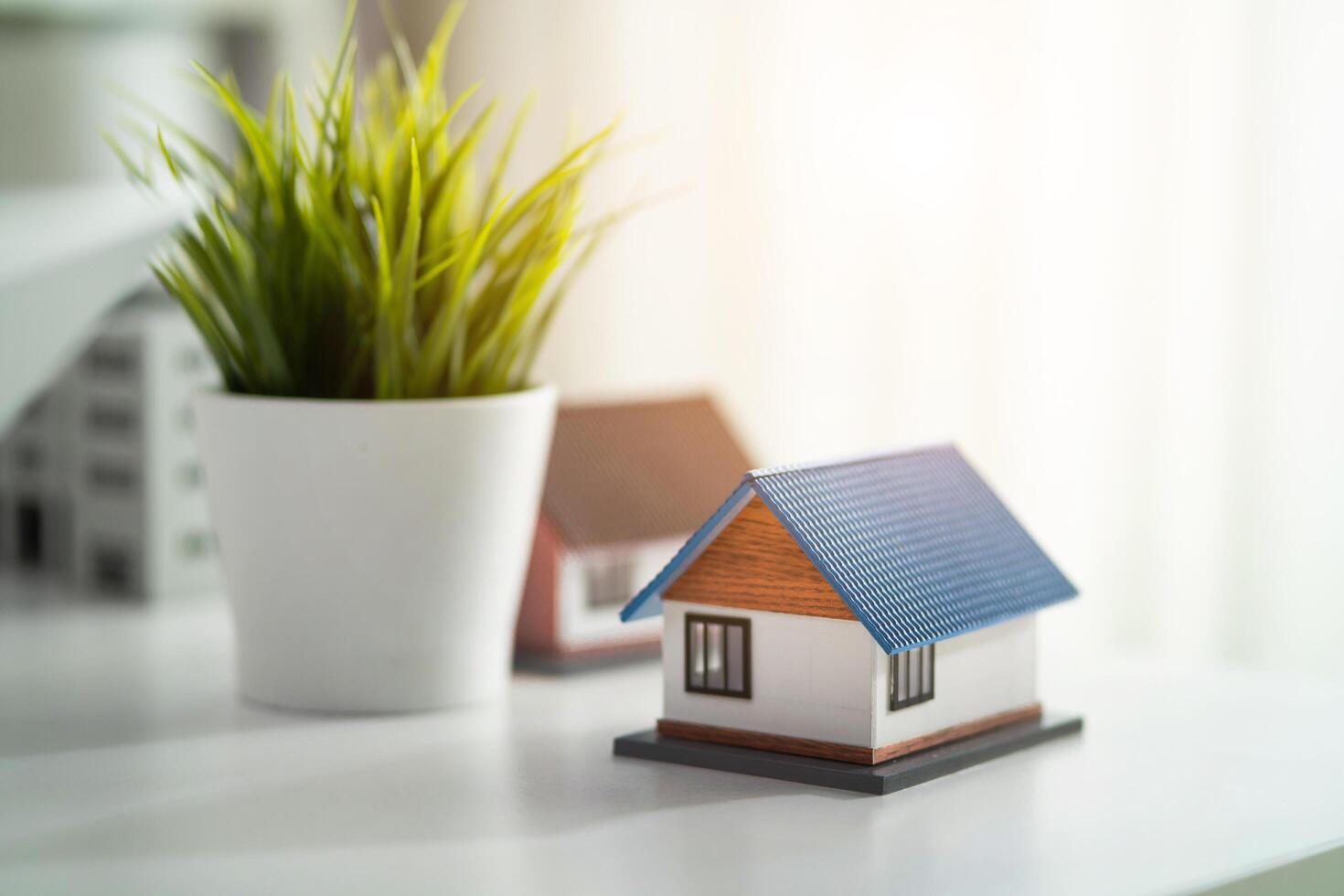 A small blue house sits on a table next to a potted plant. The house is made of plastic and is placed on a white surface. The potted plant is green and has a tall stem photo