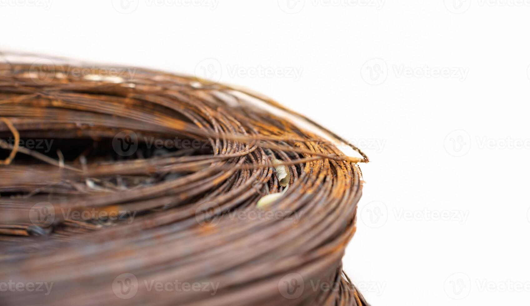 Detailed view of coiled rusted wires with light backdrop photo