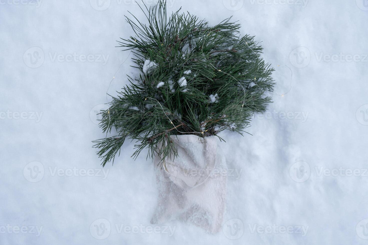 Reusable shopping bag with fir spruce green branches in snowy outdoor winter forest background. Merry Christmas and new year concept. Natural bouquet greeting card copy space. Garland lights photo