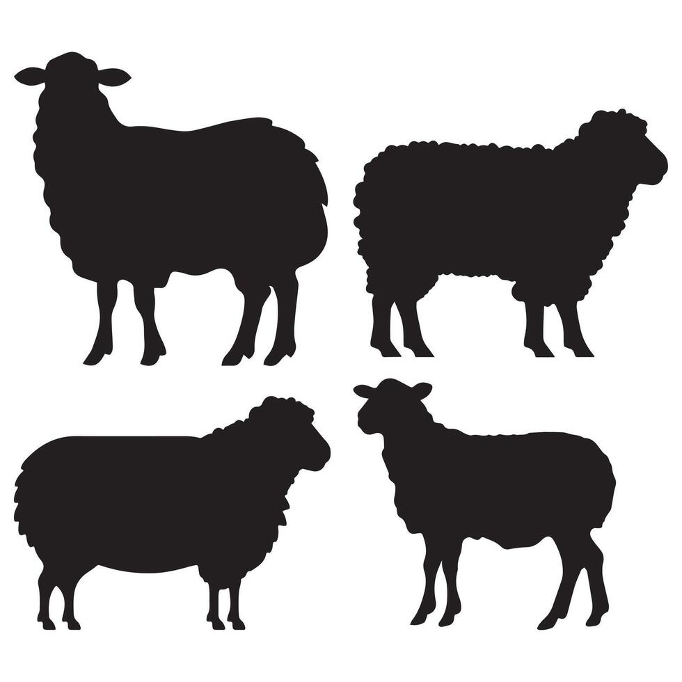 Four sheep silhouettes in different poses on a white background vector