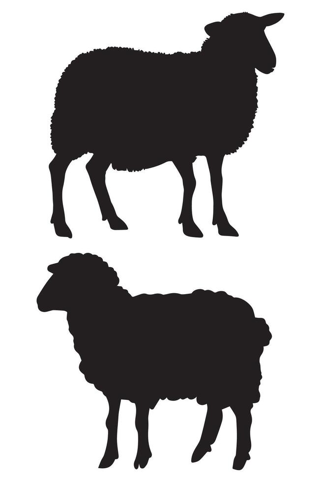Two black sheep silhouettes on a white background vector