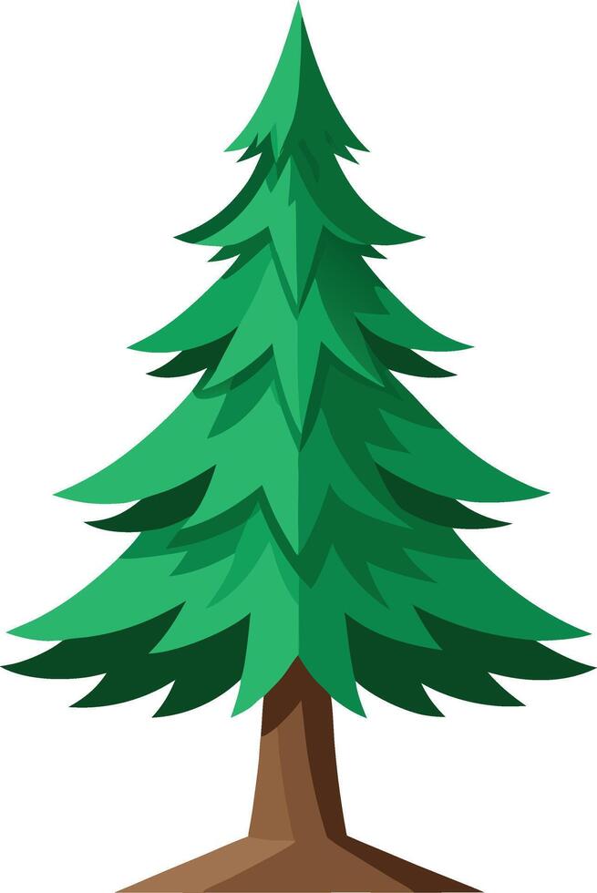 Exploring Spruce Trees Varieties Characteristics and Their Unique Habitats vector