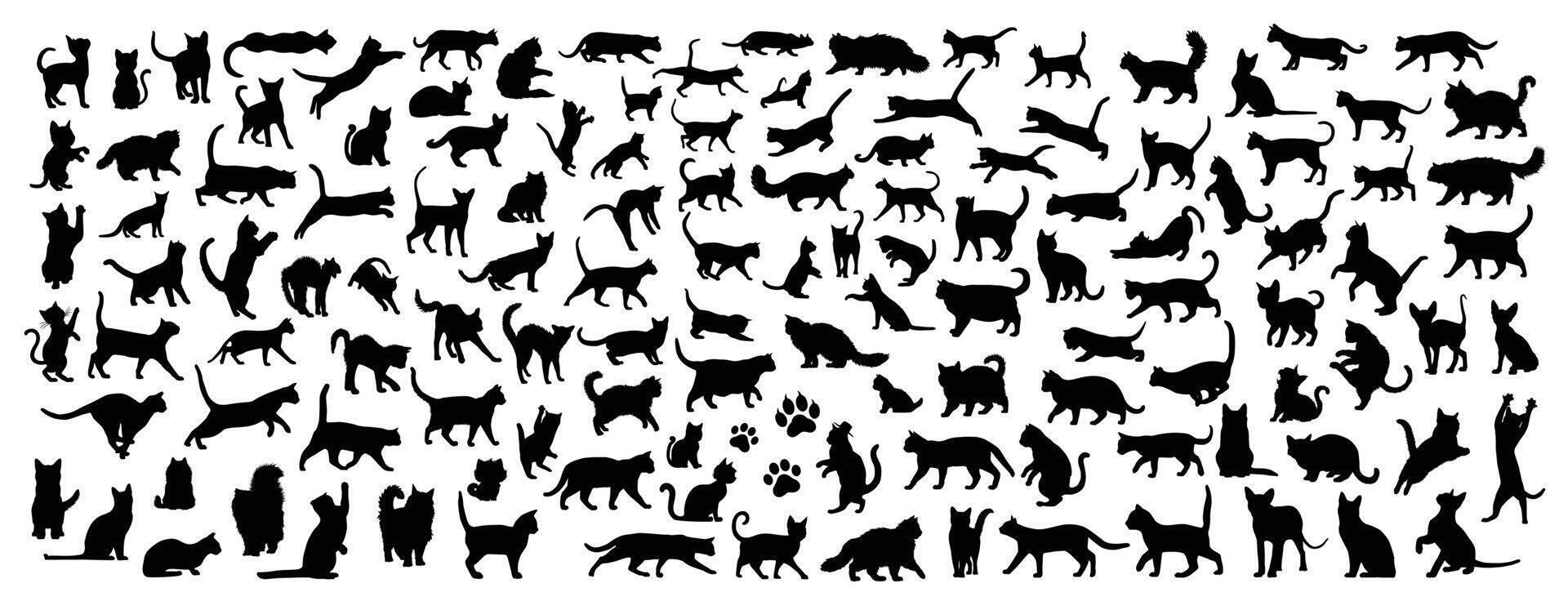cat silhouette bundle vector