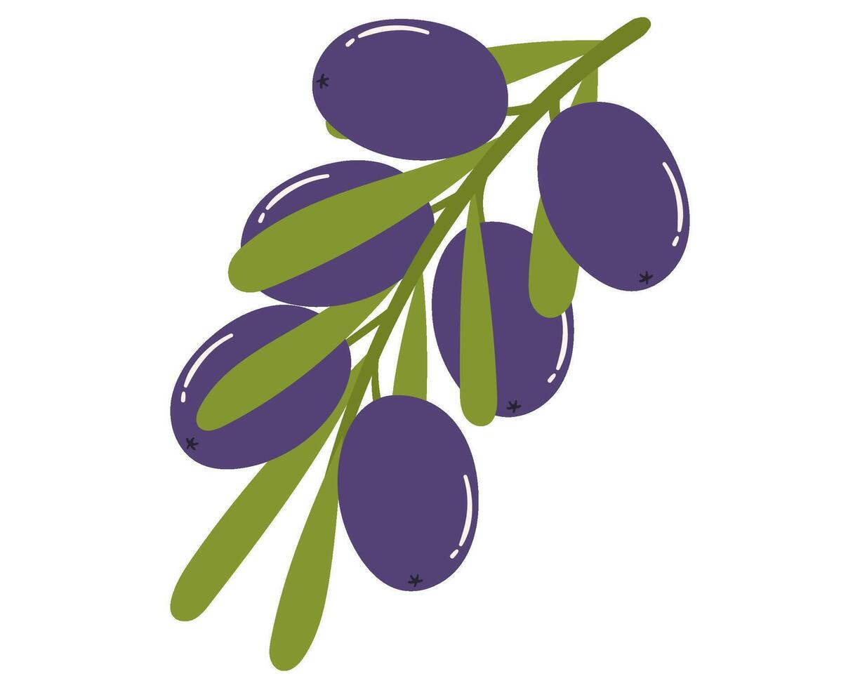 Fruit olive in cartoon hand drawn simple style. Editable variable color vector