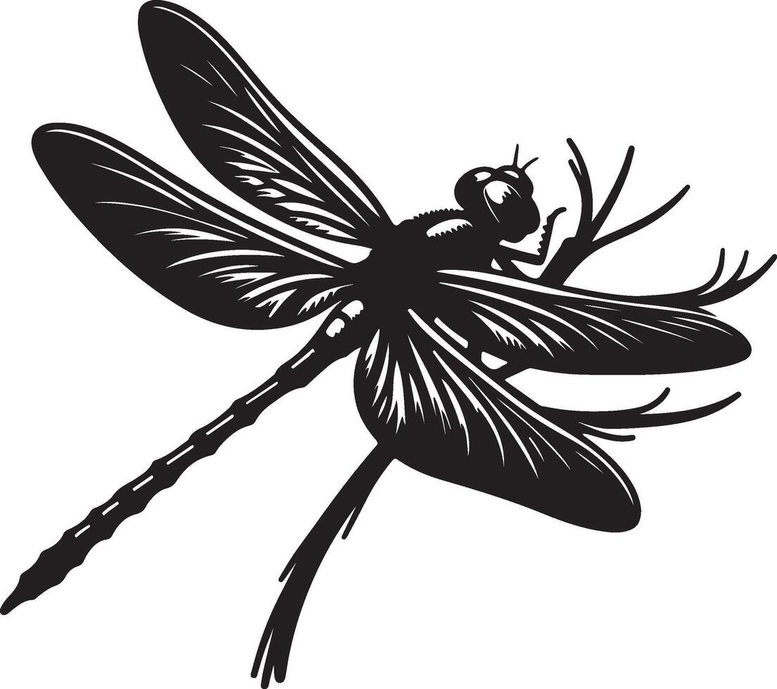 Dragonfly silhouette isolated on white background. vector