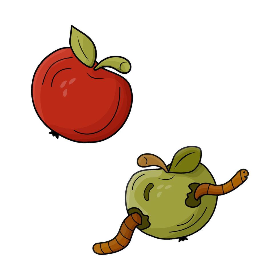 Red ripe apple and rotten green apple with worm. color illustration. The topic is fresh and expired, spoiled, maggot eaten product. vector