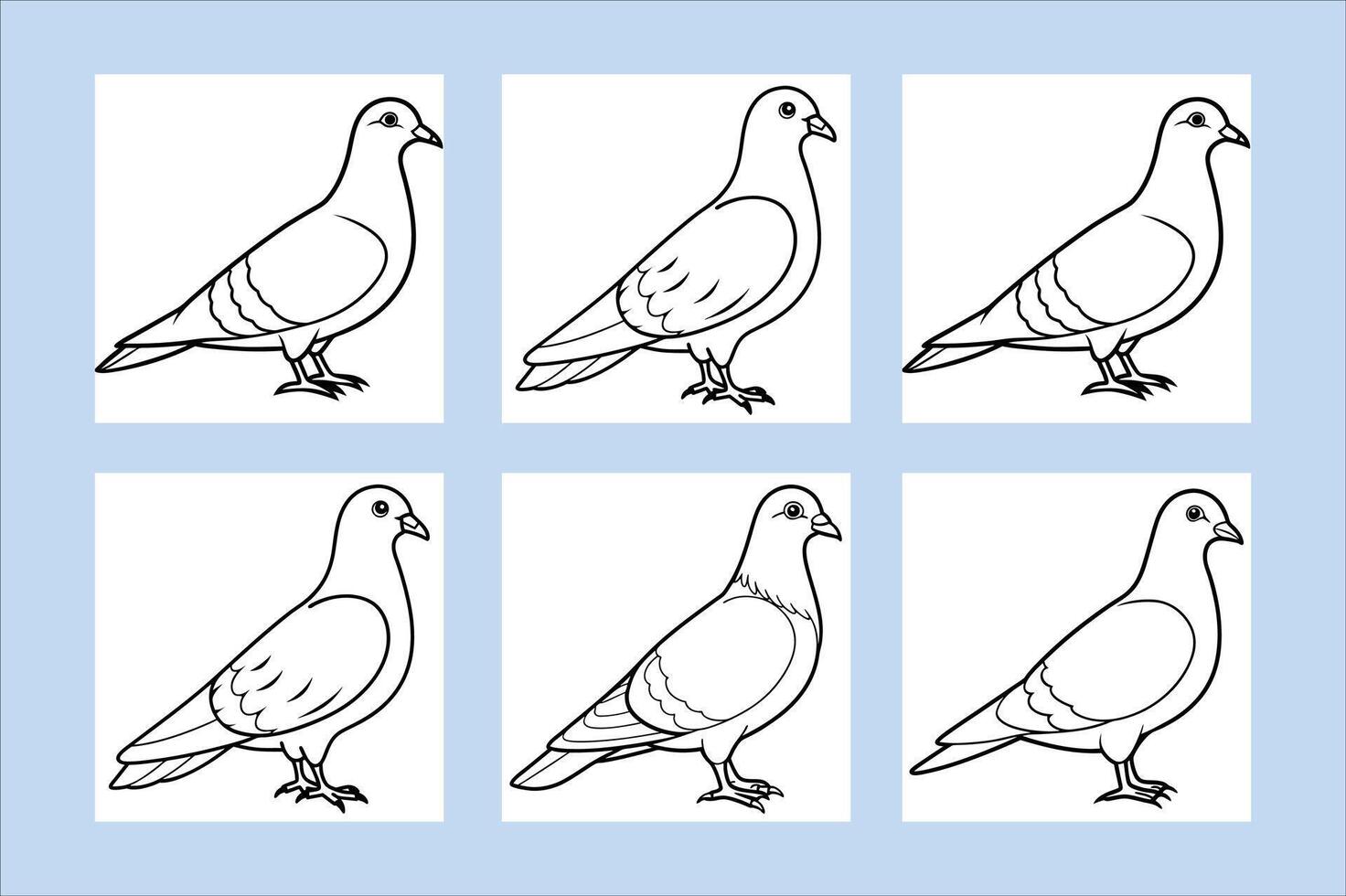 Rock Pigeon bird vector