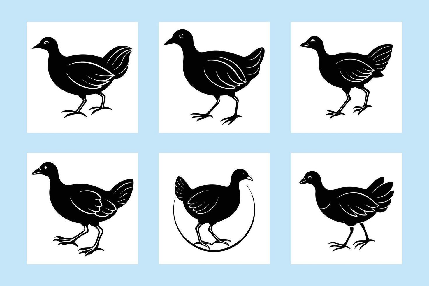 pukeko bird running vector