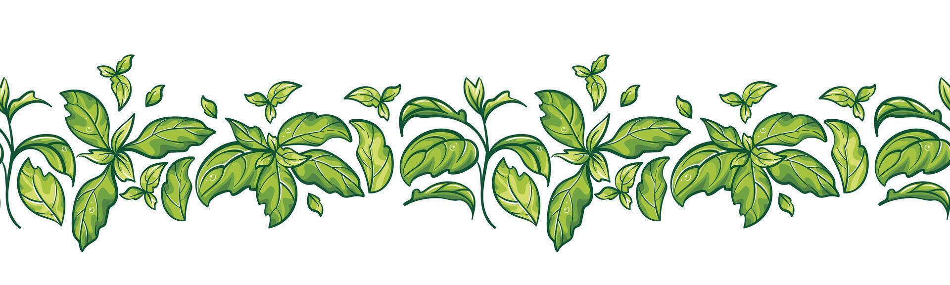Horizontal border of basil leaves with detailed sketch of the herb. Healthy lifestyle concept. Green plant, environmental friendliness. For fabric, wrapping, background vector