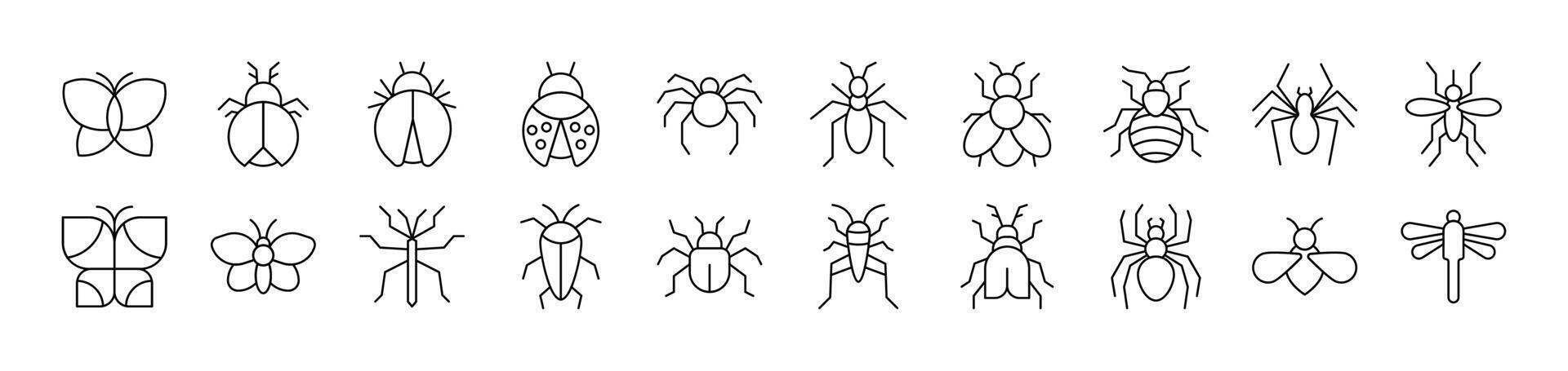 Insect Outline Image Collection. Editable Stroke. Perfect for Infographics, Articles, Books, Flyers, Banners vector