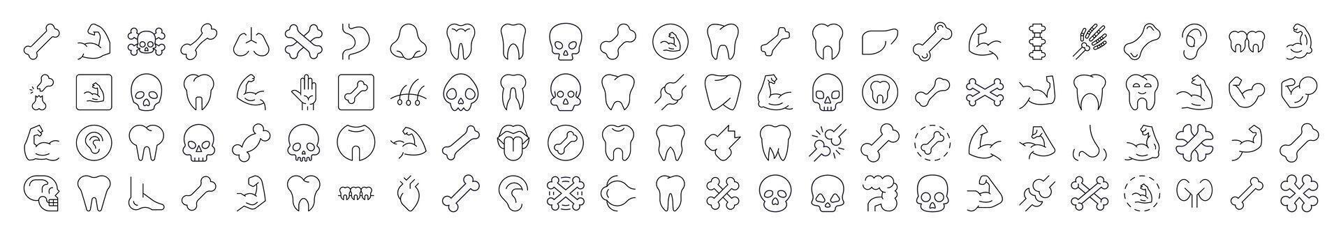 Internal Organs, Teeth and Bones Related Icon Set. Editable Stroke. Suitable for Web Sites, Books, Cards, Apps vector