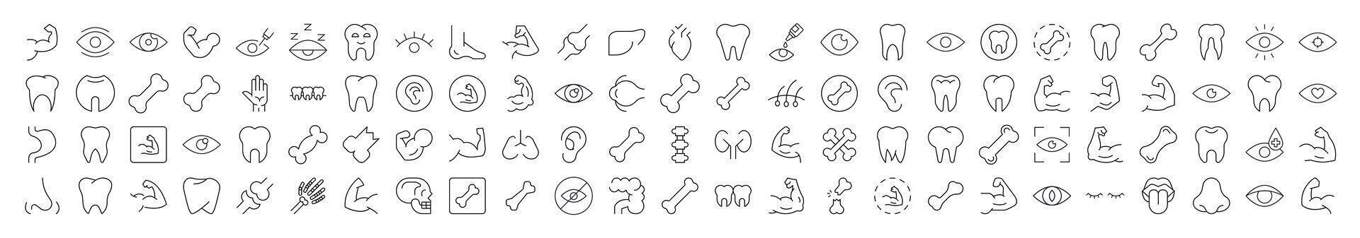 Bundles, Eye, Tooth, Muscle, Internal Organs Editable Strokes Drawn with Thin Line. Collection of Various Design Elements that Can Be Used for Apps, Articles, Web Sites, Social Media vector