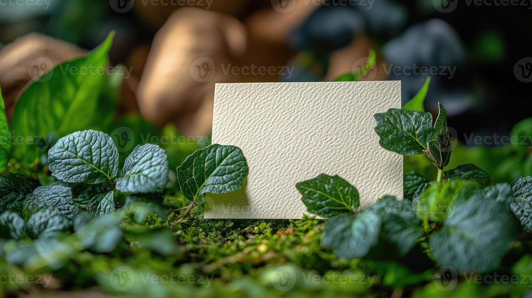 Blank card emerging from lush green foliage and moss photo