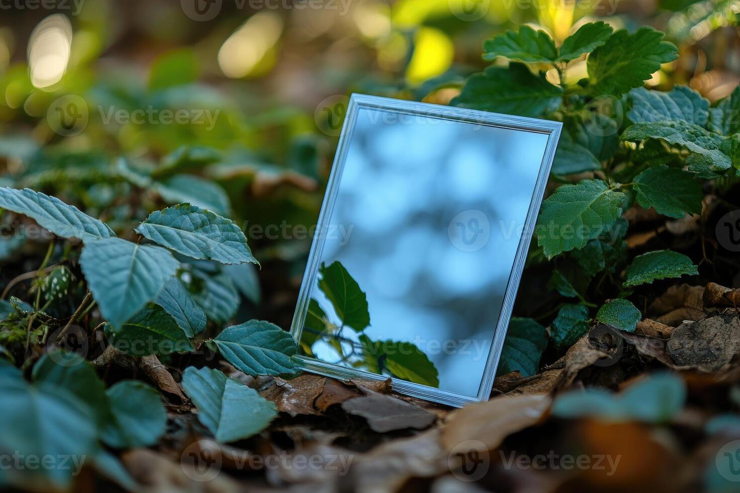 Small mirror reflecting sky and trees in lush vegetation photo