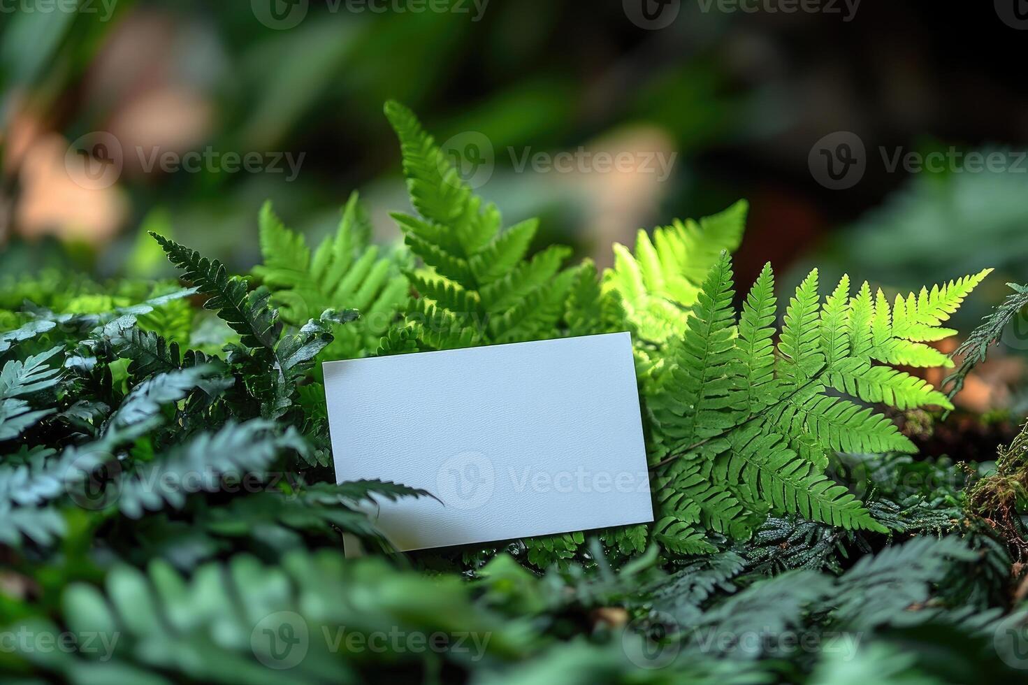 Blank white card hanging on green leaves in nature photo