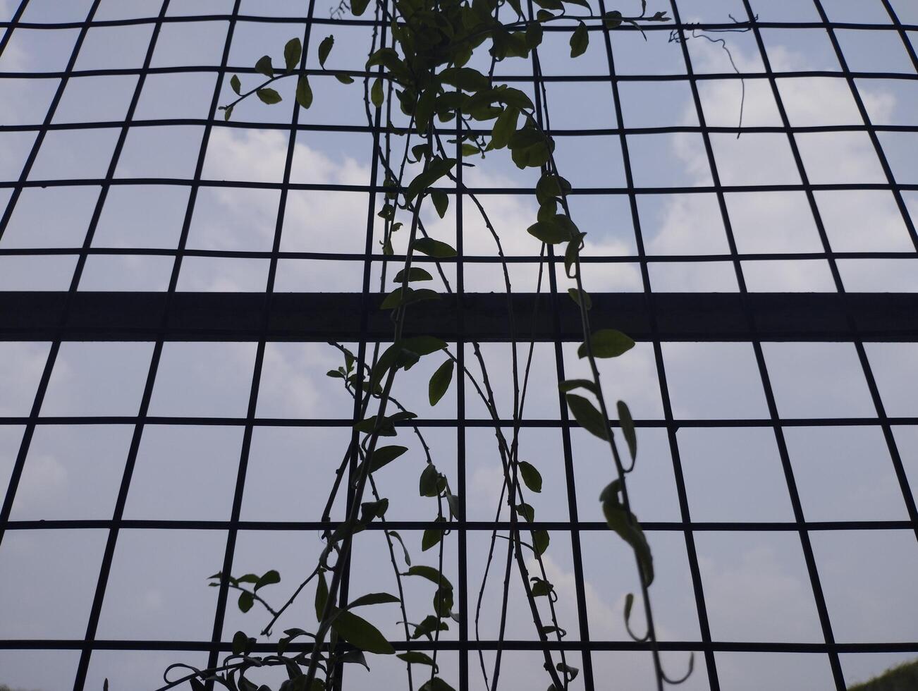 reflection of windows in a building photo