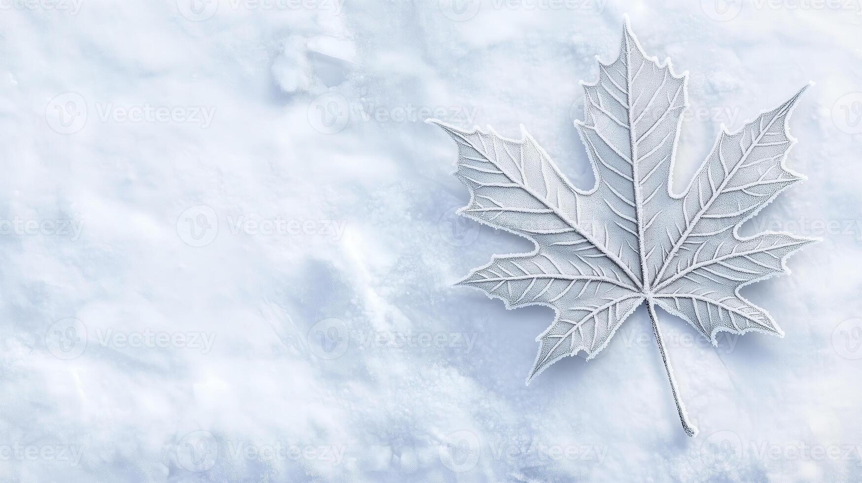 A frosty pattern decorates one maple leaf on a white snowy backgrou photo