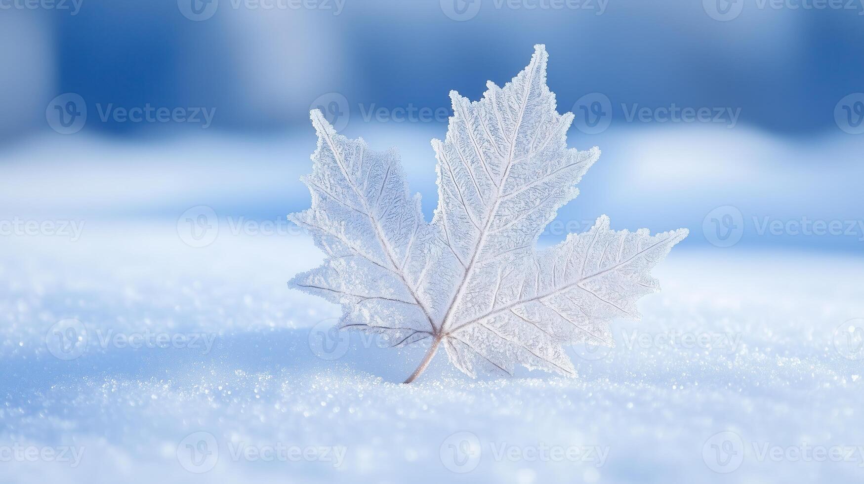 a single maple leaf is sitting on top of snow photo