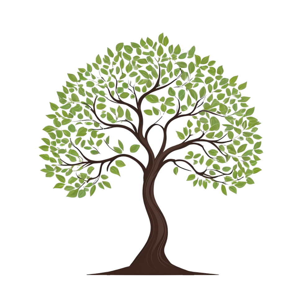 Green tree on transparent background, tree png