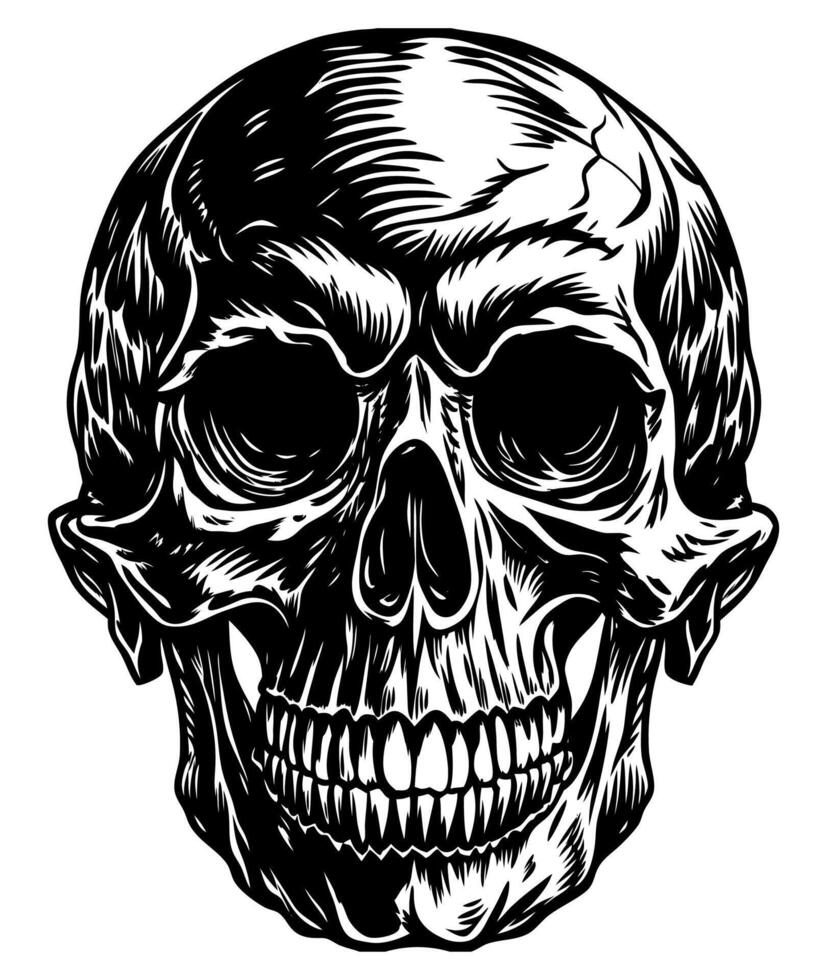 Monochrome stylish illustration with stylized human skull vector