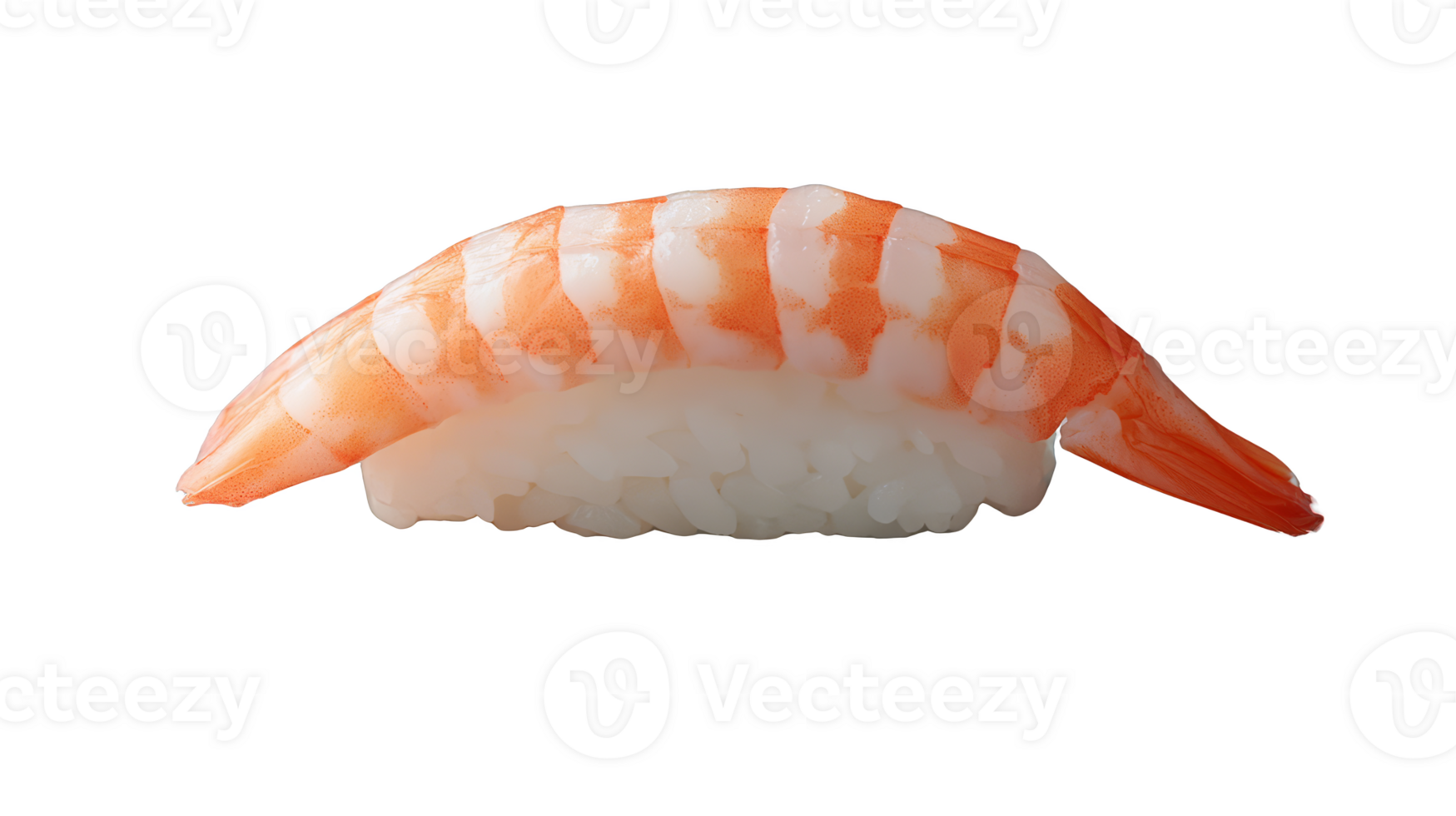 Sushi shrimp on rice, showcasing fresh seafood delicacy and vibrant colors png