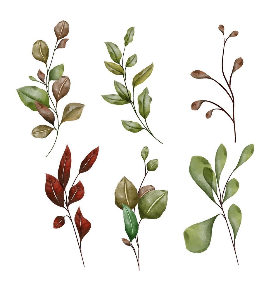 Watercolor botanical branches set with green and brown leaves, isolated fall season design elements on white background vector