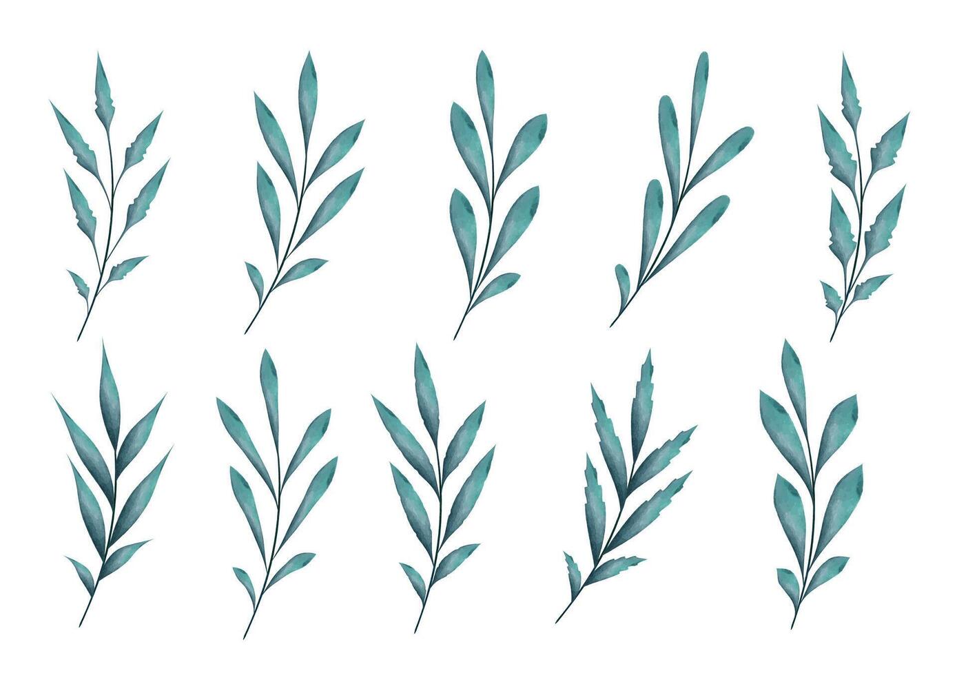 Watercolor branches with leaves, isolated botanical leaf elements on white background vector