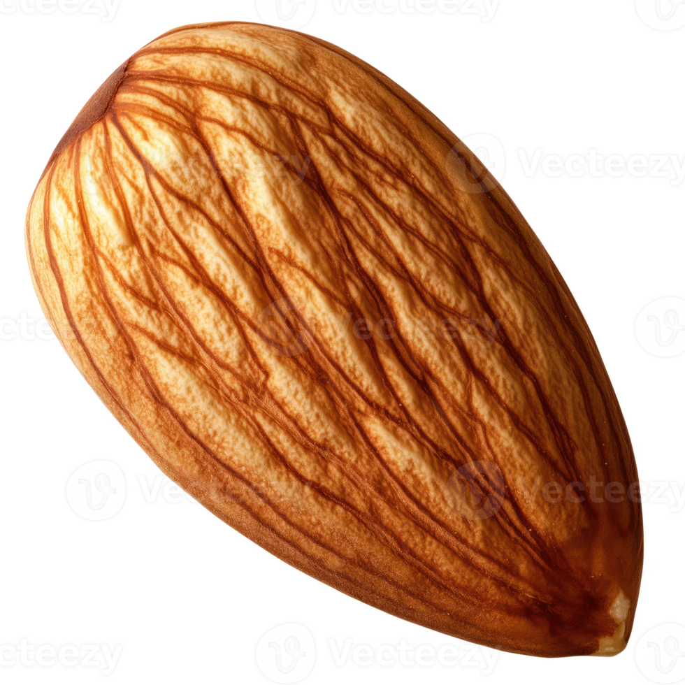 Single almond nut with intricate texture, isolated on transparent background. png