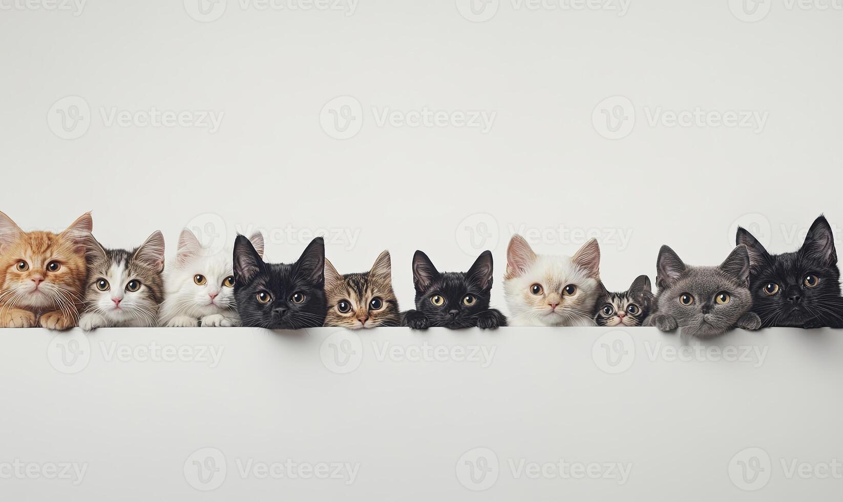 A row of adorable kittens of various colors and patterns peek over a white surface, their eyes wide with curiosity. photo