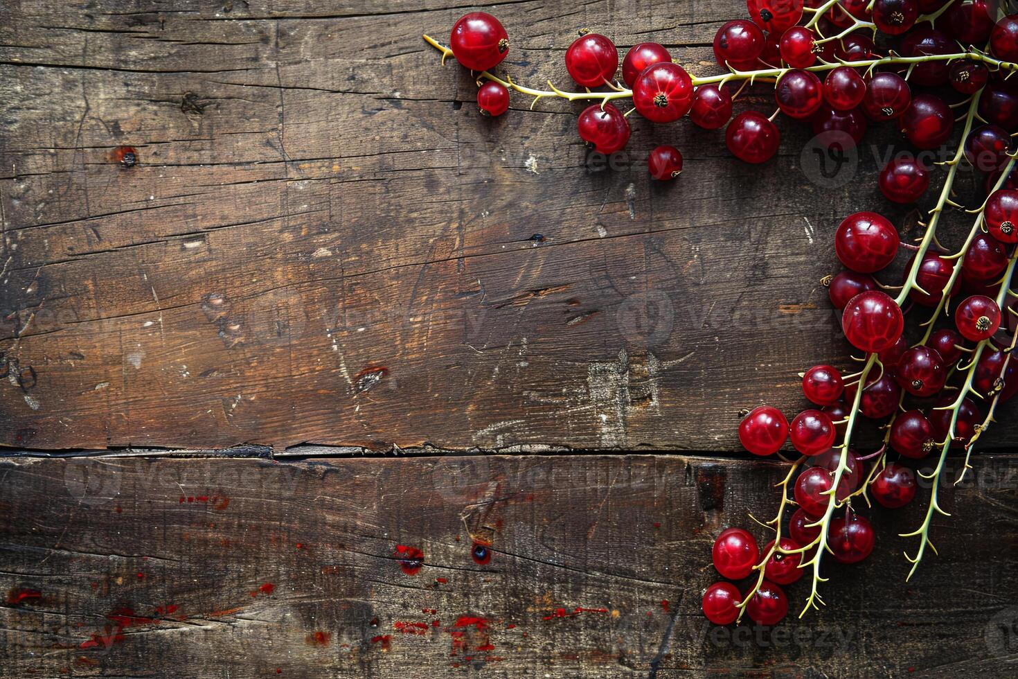 Red currants on a rustic wooden table with copy space. photo