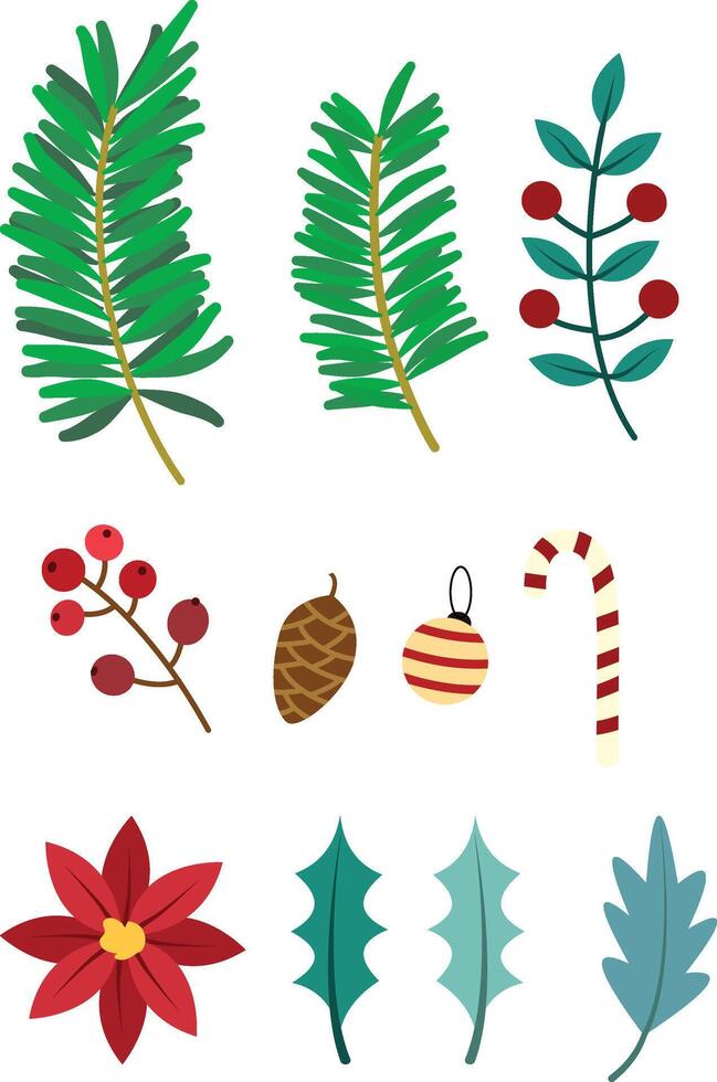Christmas ornament illustration set, Poinsettia, pine, berry branches, holly berries vector