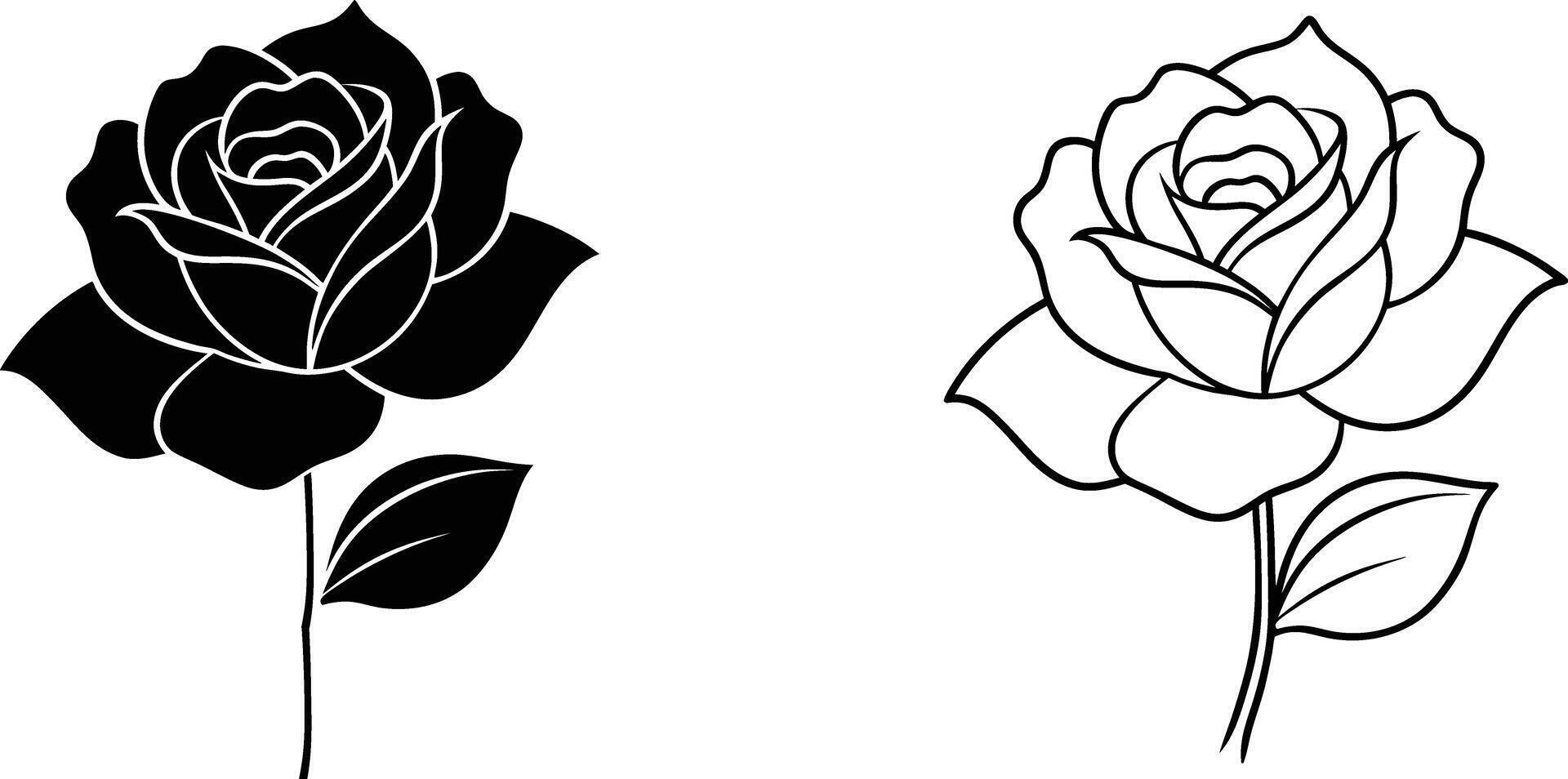 Black and White Rose Line Art Illustration vector