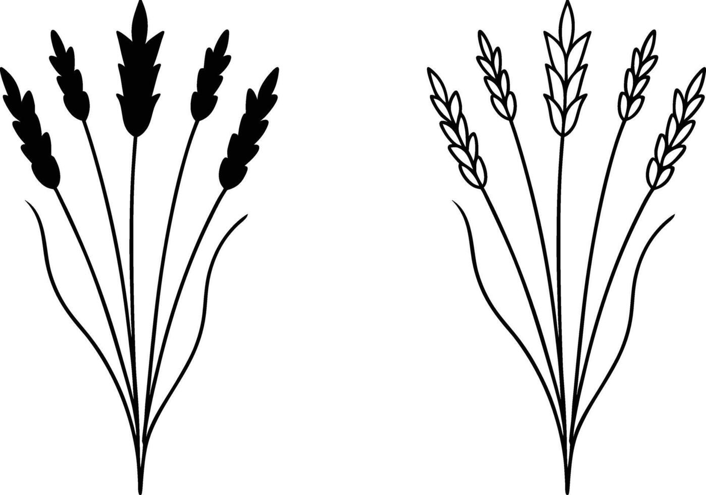 Wheat Stalks Line Art Illustration Set vector