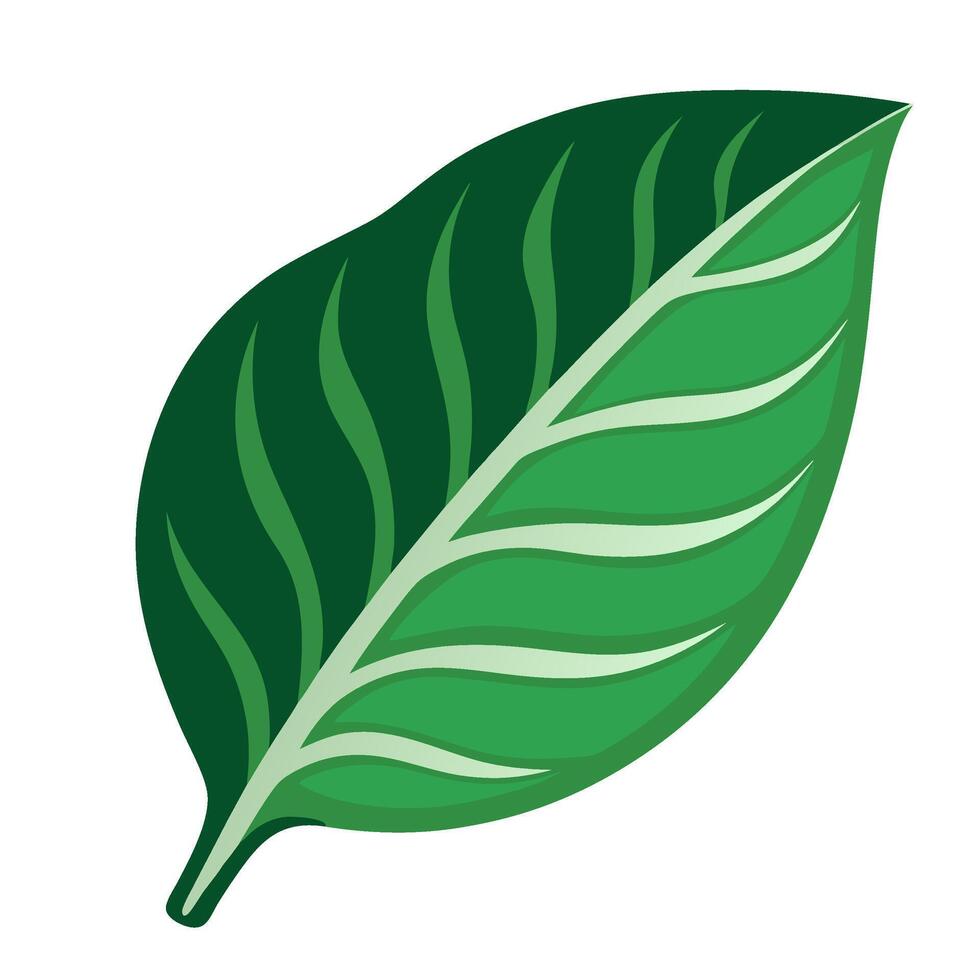A green leaf icon on a white background vector