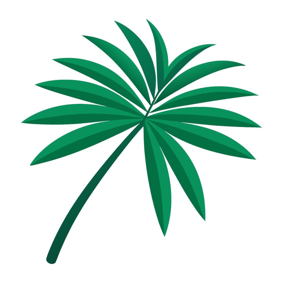 Palm tree illustration vector